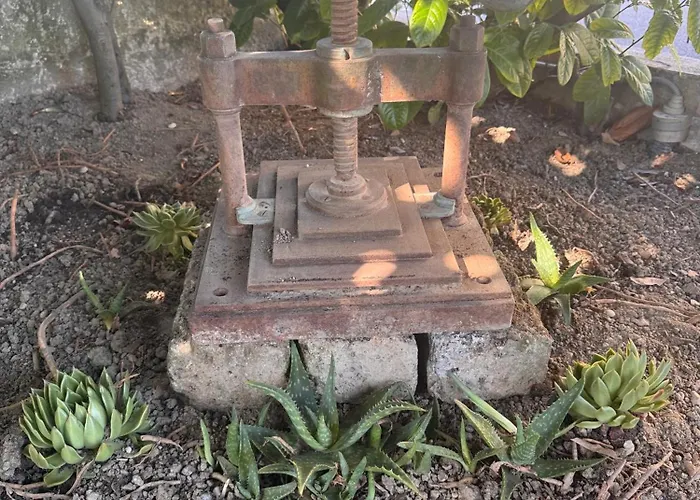 Sweet Charm In Venice Tessera