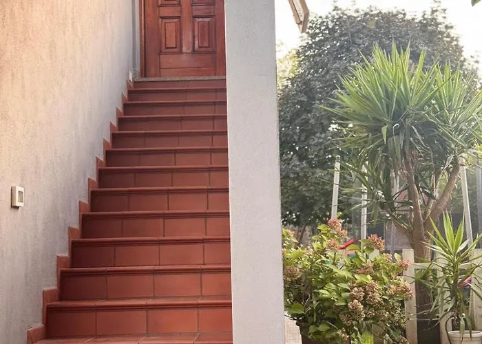 Sweet Charm In Venice *